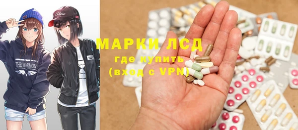 стафф Новозыбков