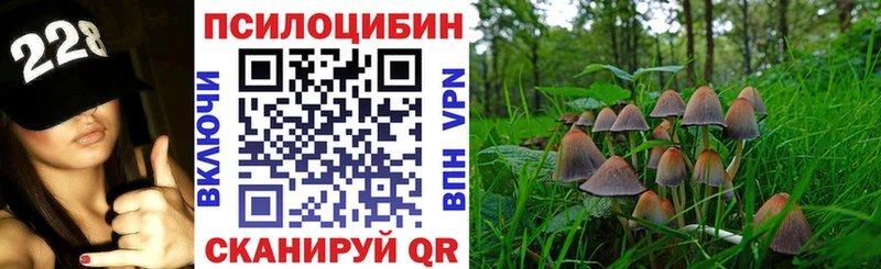 Псилоцибиновые грибы ЛСД  наркота  Амурск 
